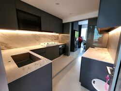 Cairnhill Residences (D9), Apartment #558867721